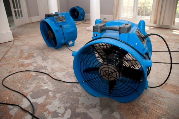 Best Basement Water Damage Restoration in Woodstock, AL