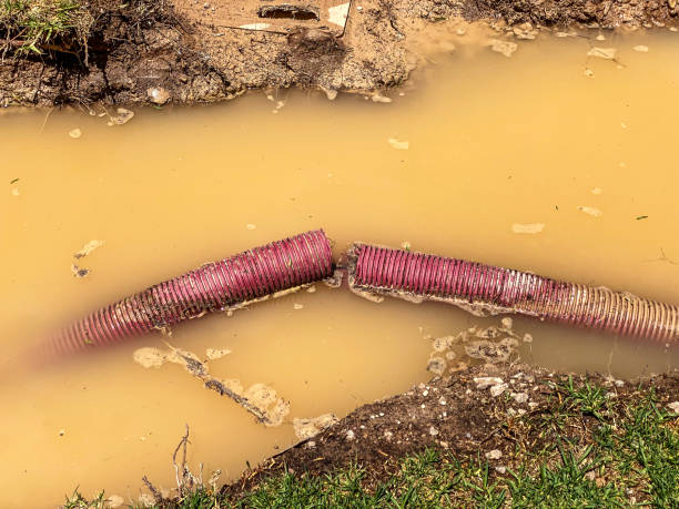 Best Storm and Flood Water Damage Restoration in Woodstock, AL